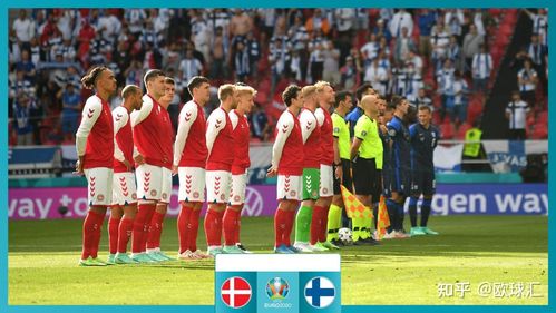 丹麦芬兰足球图文直播